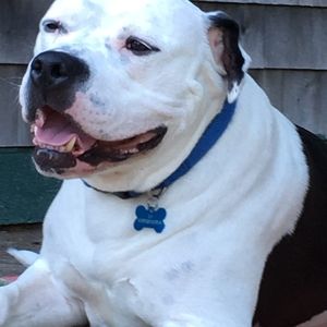 Meet your Posher, Nick